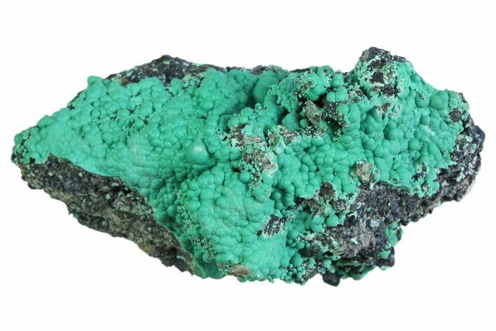 Blue-Green Botryoidal Chrysocolla - Planet Mine, Arizona #358227
